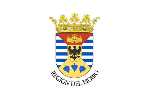 bandera de la region de biobio