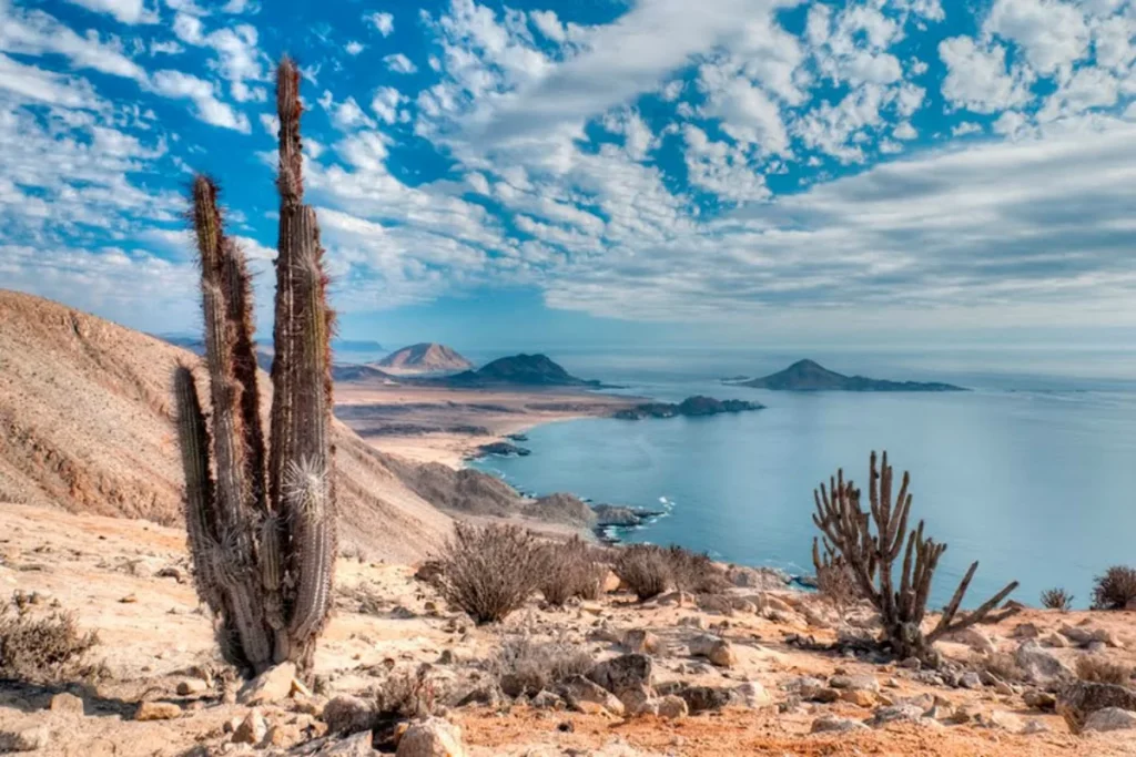parque nacional pan de azucar