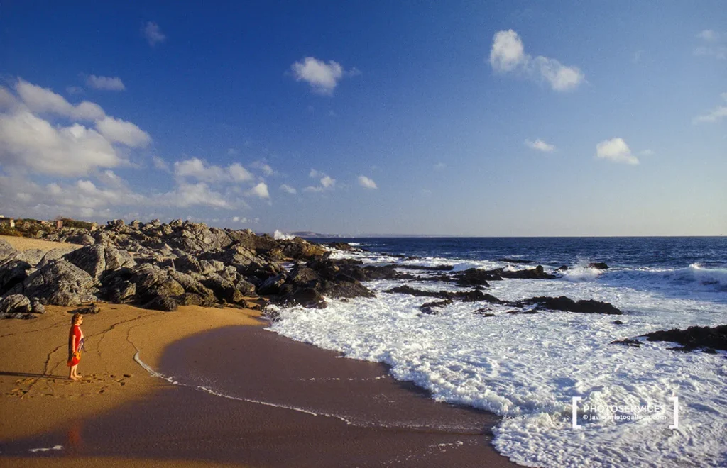 isla negra