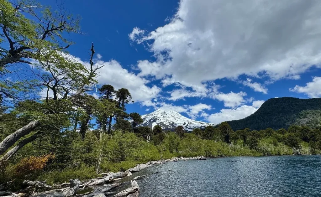 parque nacional villarrica rios
