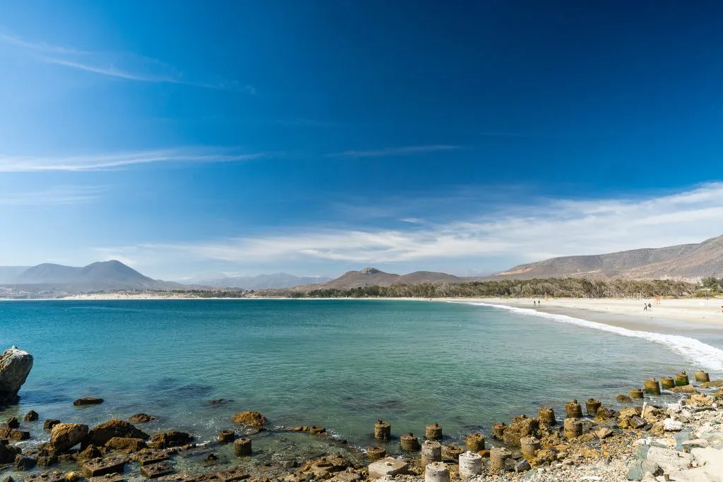 pichidangui