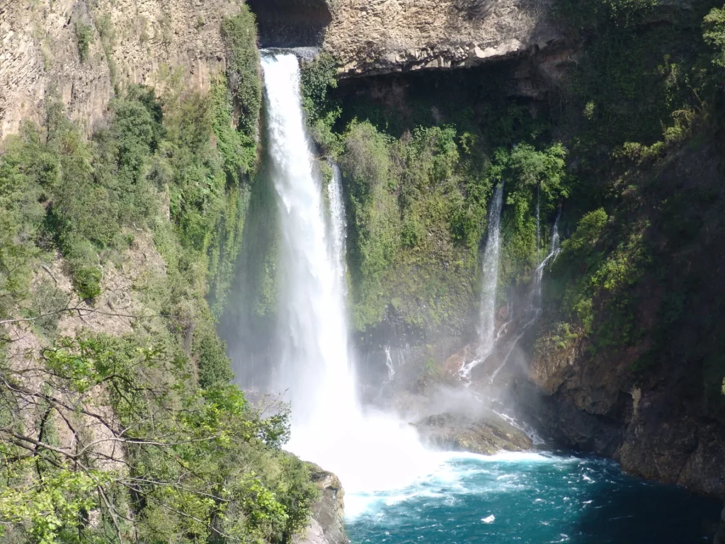 reserva nacional radal siete tazas