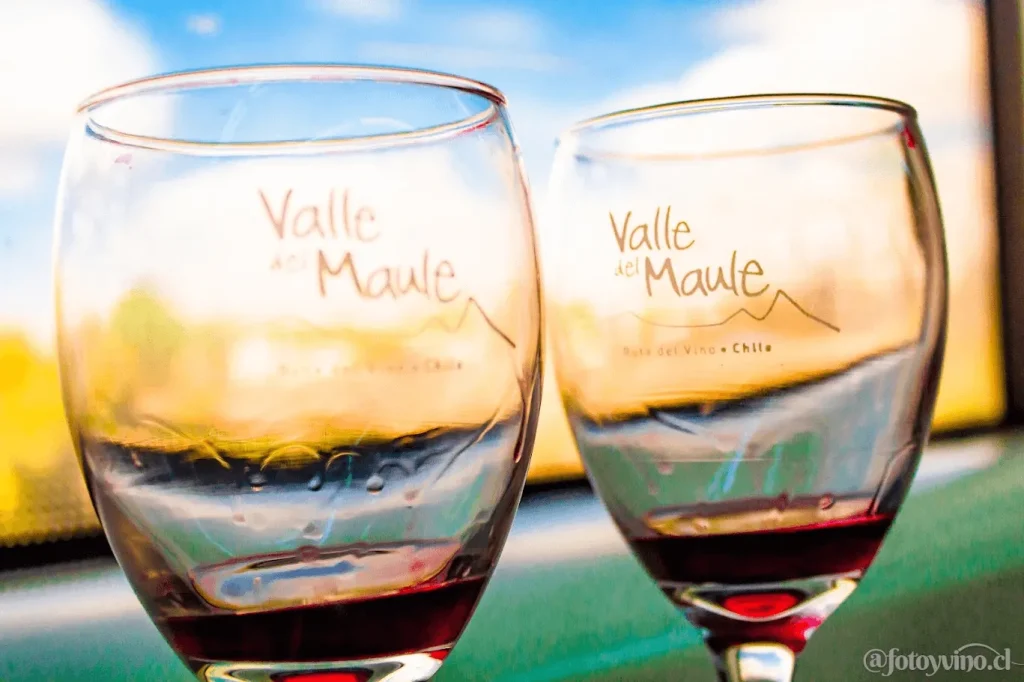 ruta del vino del maule